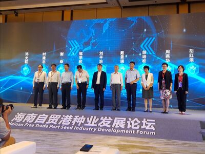 hainan-forum