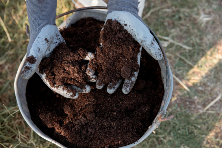compost-still-life-concept