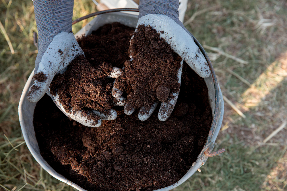 compost-still-life-concept