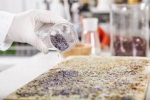 news_seed-law-amendment_2022-01