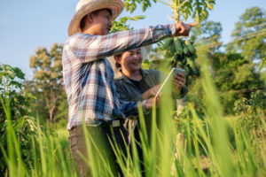 asian-smart-farmer-couple-using-digital-tablet-monitoring-managing-rice-field-organic-farm
