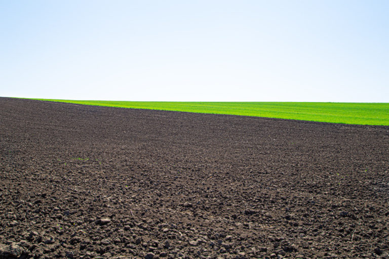 news_black-soil-protection-law_2022-07