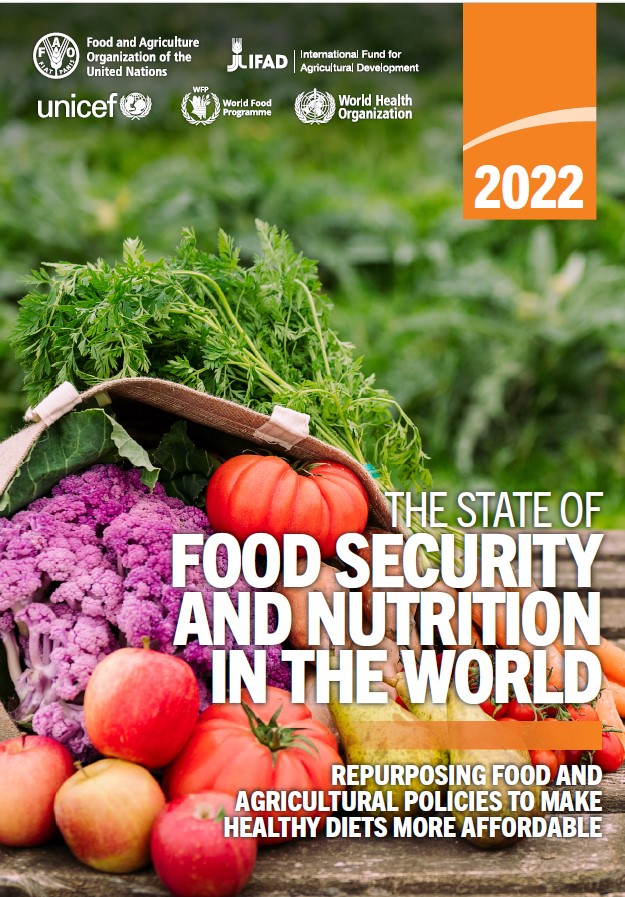 fao_report-on-food-security-and-nutrition_2022