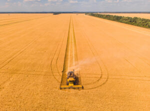 aerial-view-summer-harvest-combine-harvester-harvesting-large-field