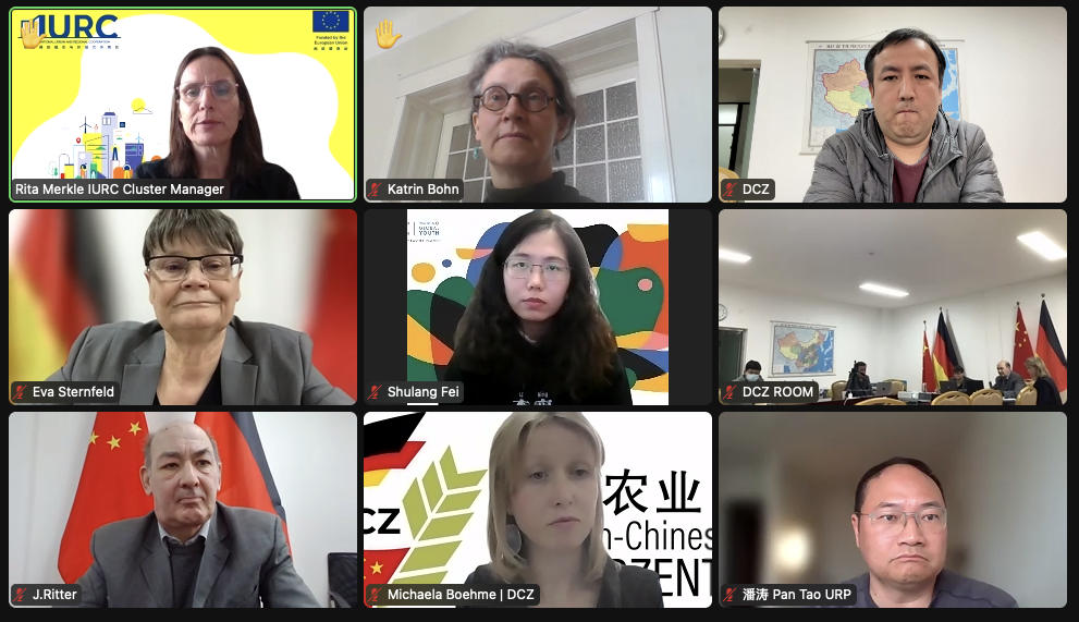 Webinar