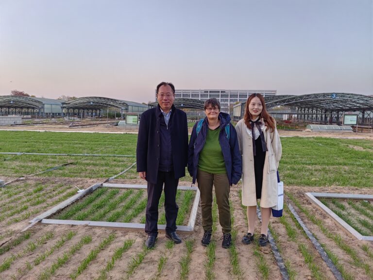 Farmland Irrigation Institute_2023-11