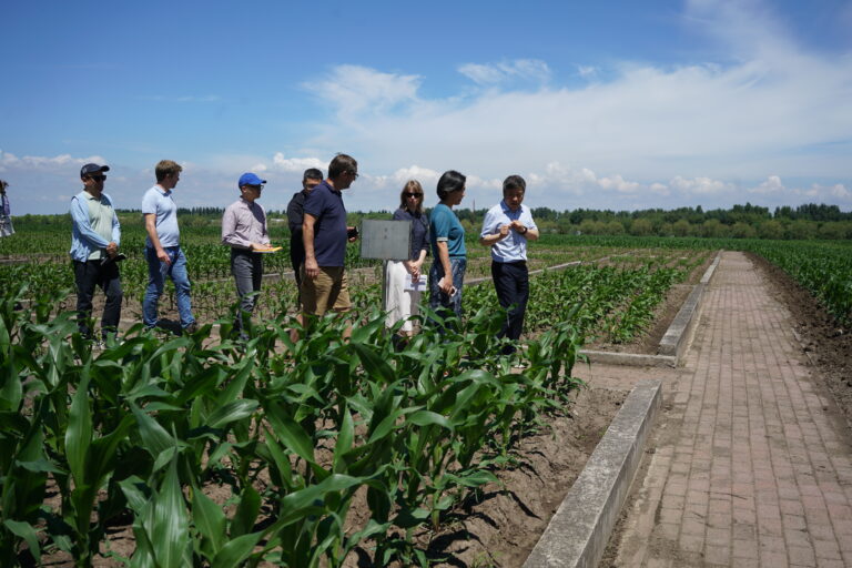 Different types of fertilizers are tested, © HAAS