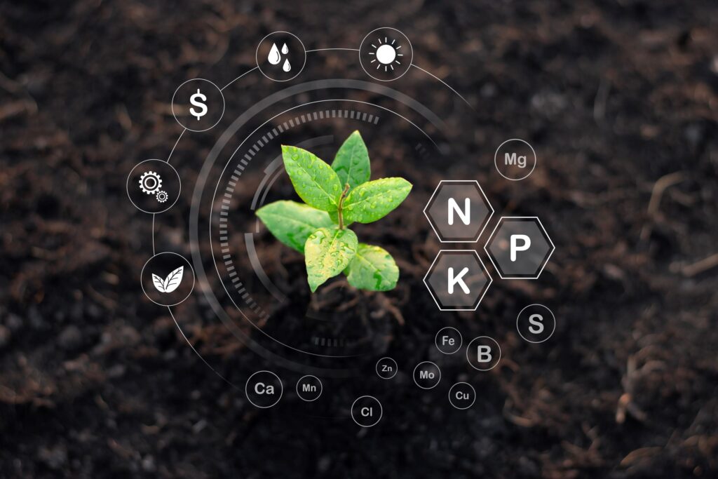 soil-nutrients