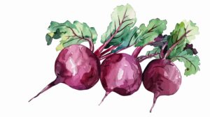 toolbox_beetroot