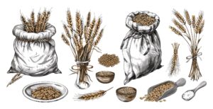toolbox_grains