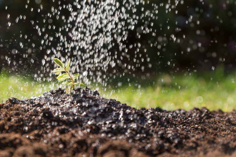 irrigation