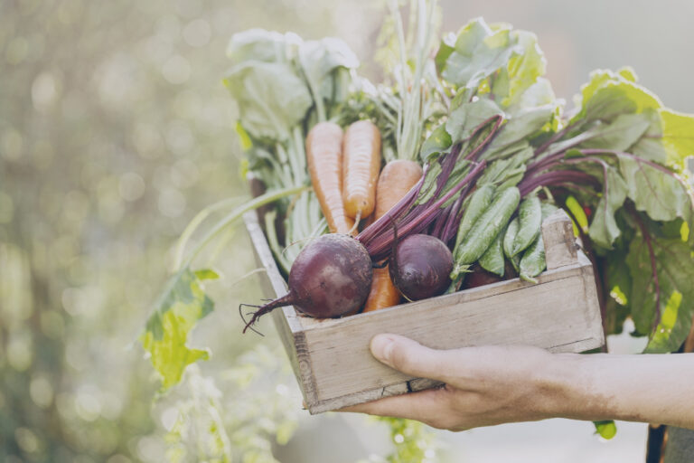 Organic