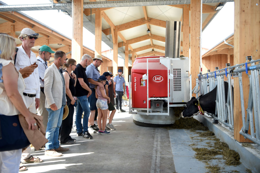 "Green Dairy" project, automated barn
