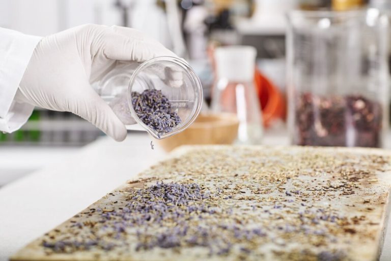 news_seed-law-amendment_2022-01