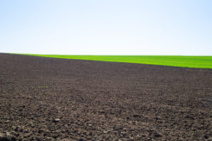 news_black-soil-protection-law_2022-07