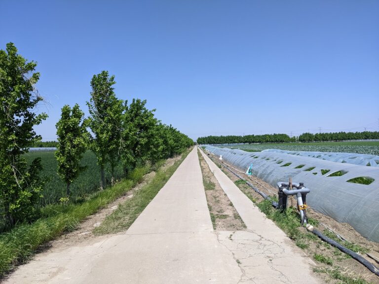 Tree borders around consolidated farmland plots to promote biodiversity