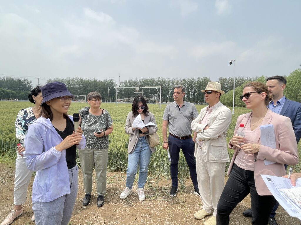 2023-05-25_CAAS field visit_07