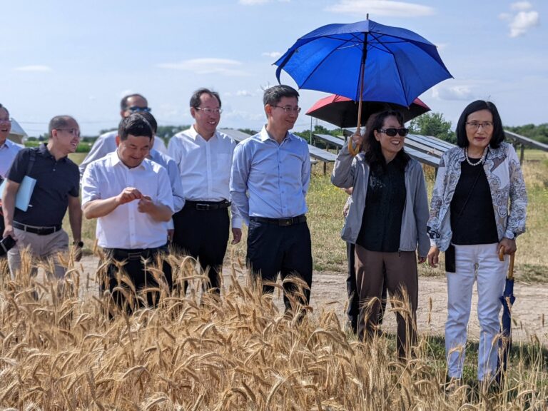 Simulating the effects of climate change at the Global Change Experimental Facility