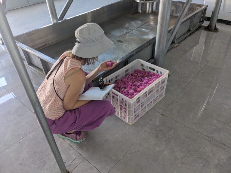 Drying and processing facility for organic rose leaves