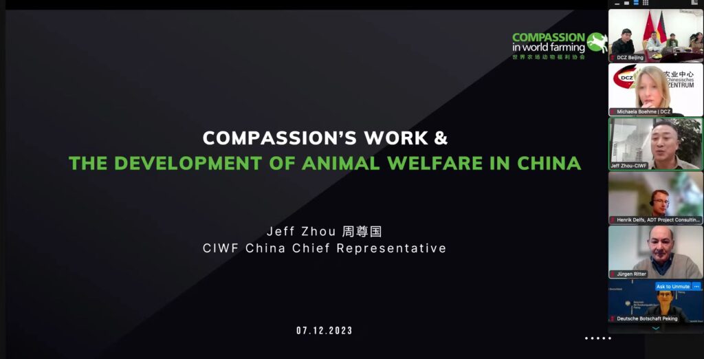 DCZ TALKS #4_animal welfare_2023-12