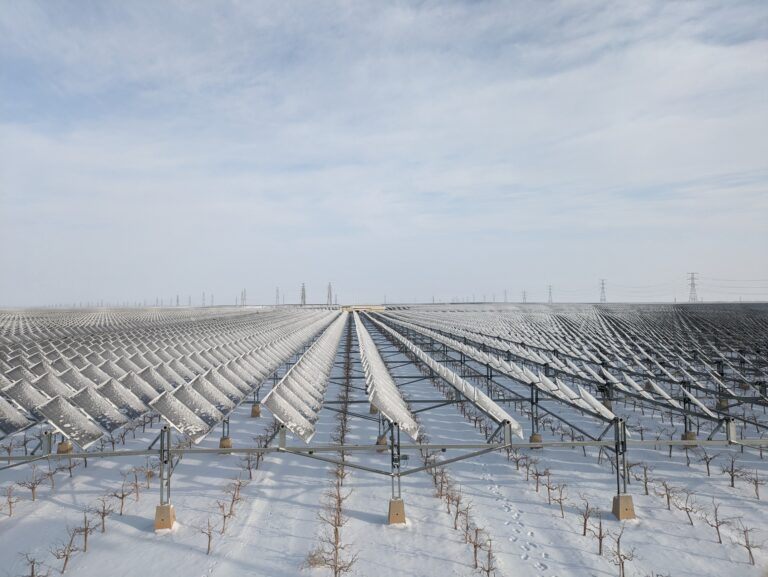 Site visit to agri-photovoltaics project of Baofeng Energy Group