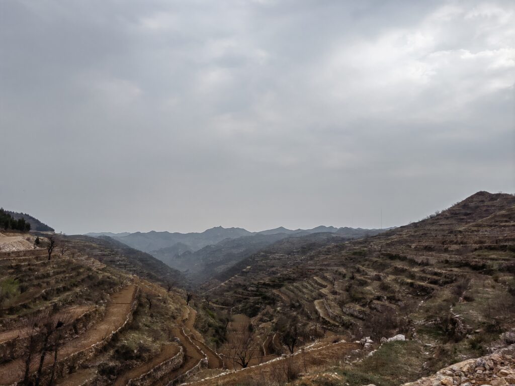Wangjinzhuang_Agrobiodiversity_2024-04