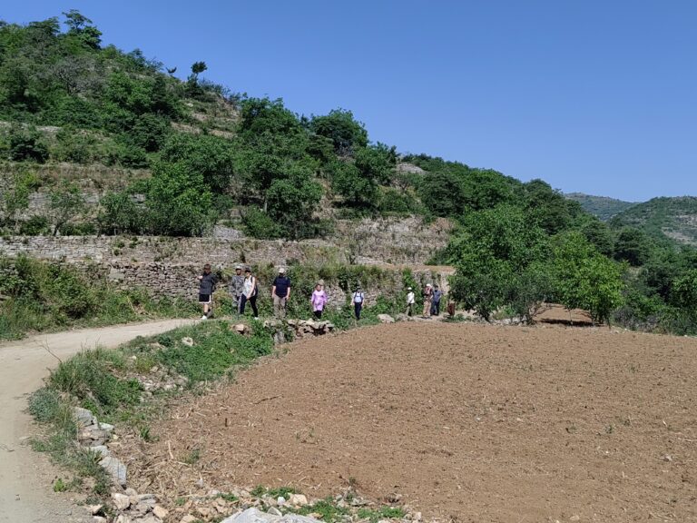 Exploring local farming methods