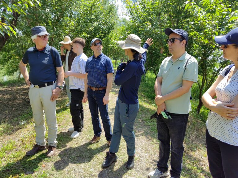 Visiting the orchard at May Organic Farm