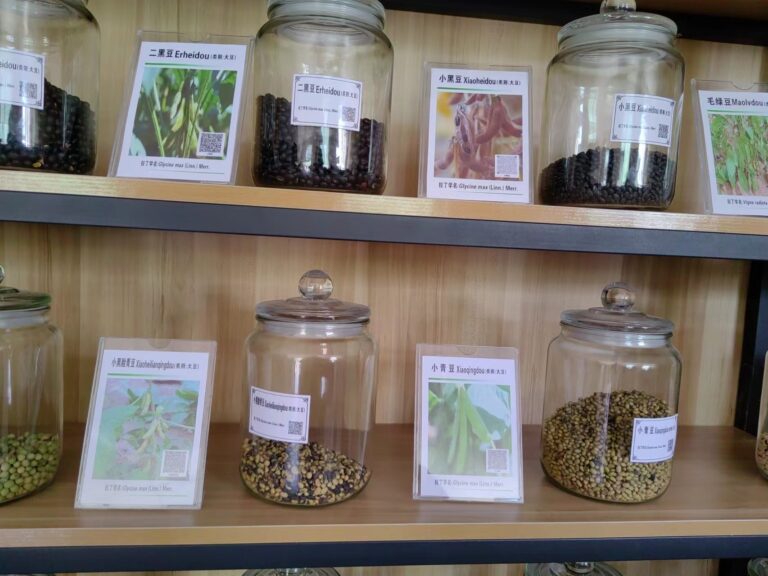 Collection of local crop varieties