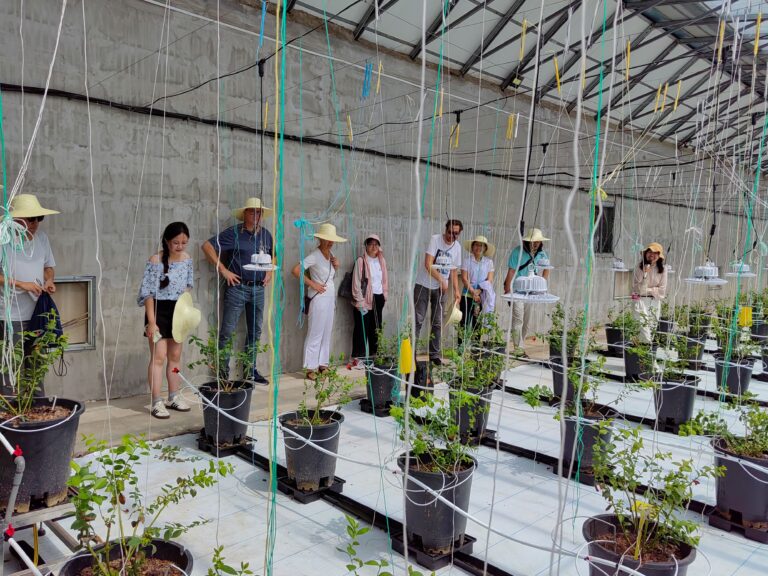 Studying low-carbon greenhouse technology