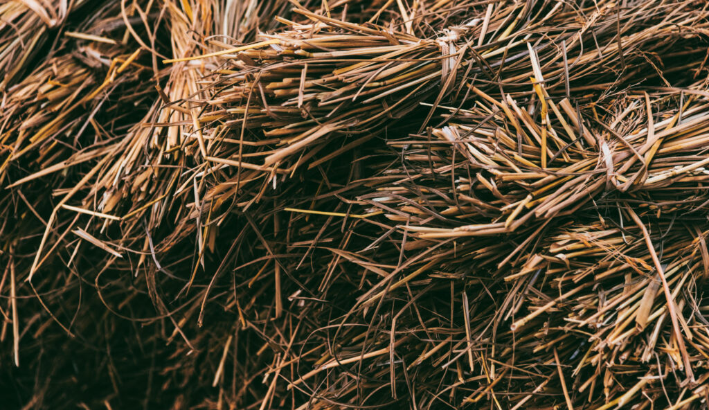 biomass_rice straw