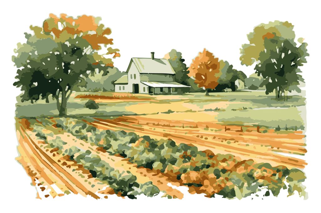 toolbox-farmhouse with plot