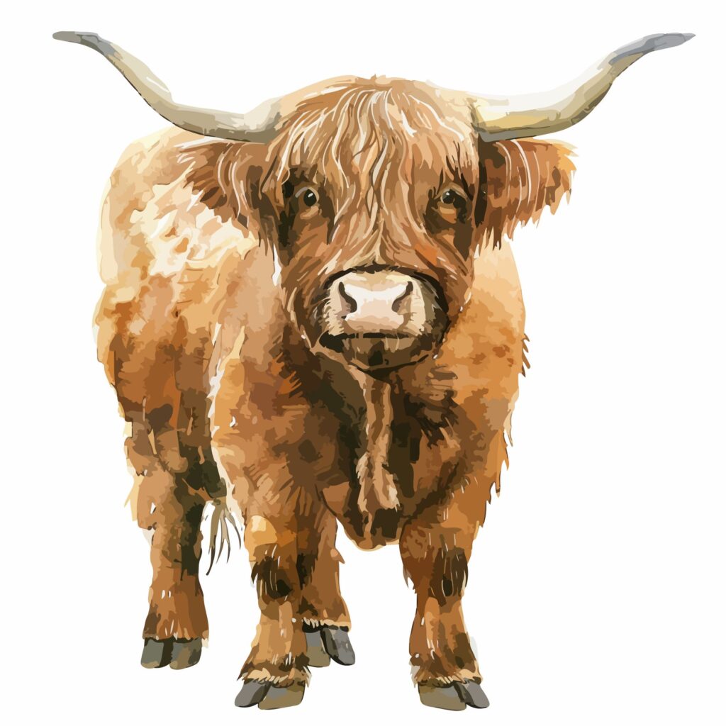 toolbox-hairy cattle