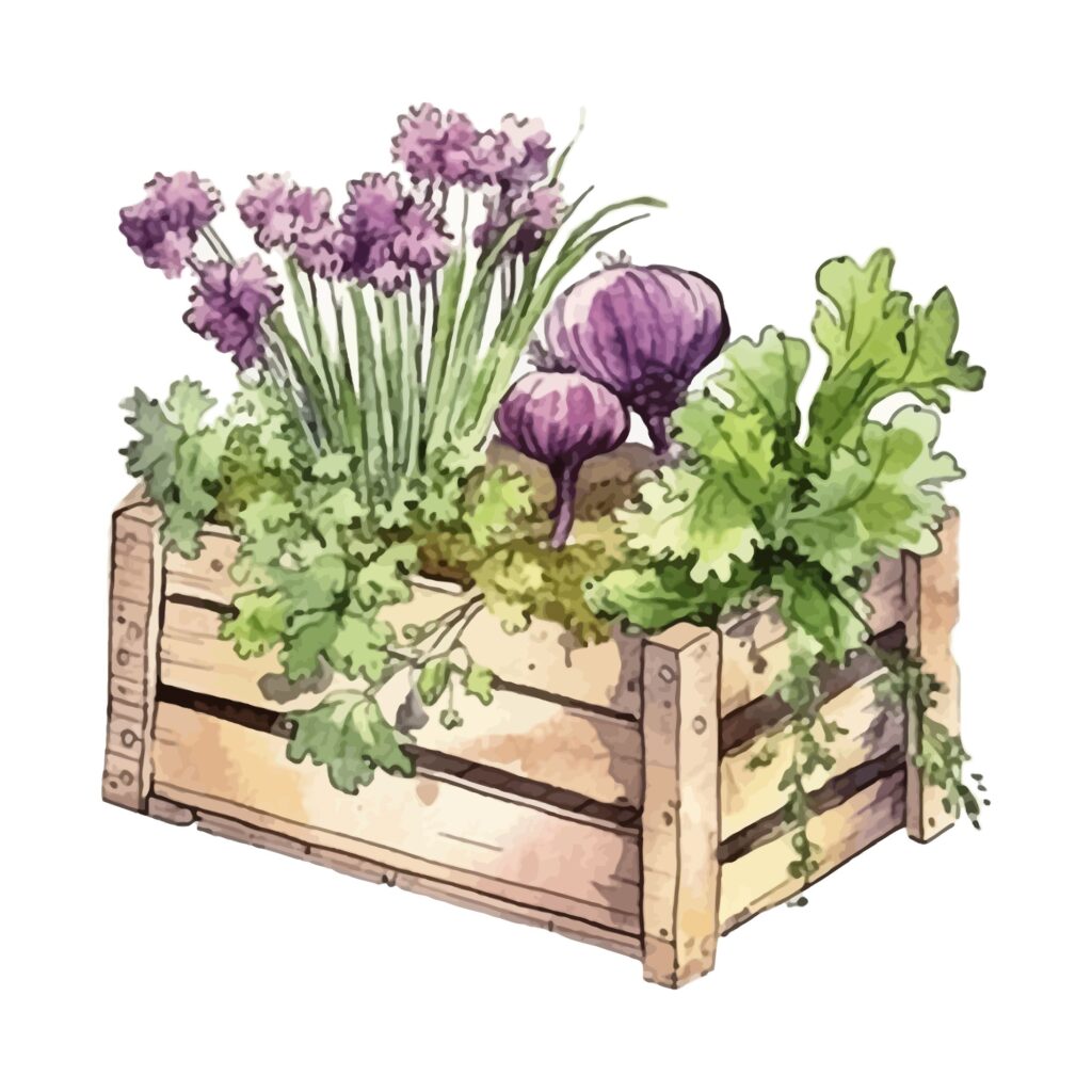toolbox-vegetable box
