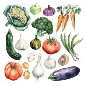 toolbox_garden vegetables