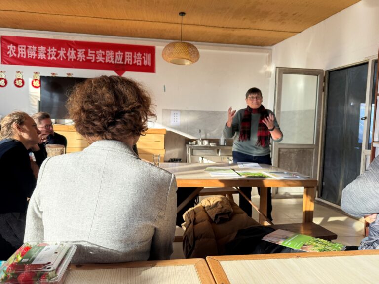 Image_20250112233926