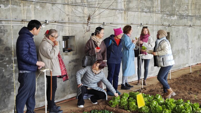 No chemicals and pesticides are used in this greenhouse