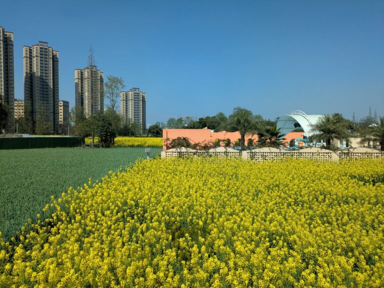 Rural areas on the outskirts of Chengdu