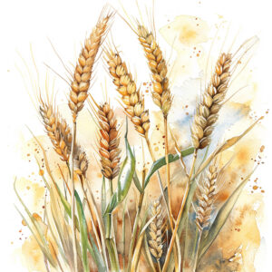 toolbox_wheat