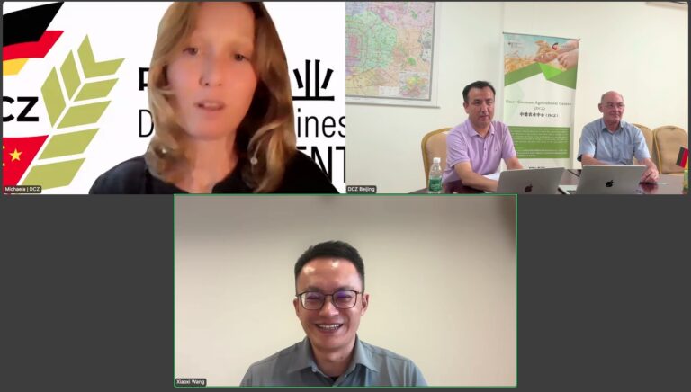 DCZ TALKS discusses China’s food system transformation – DCZ – Sino ...