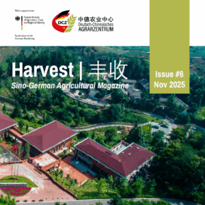 Harvest#6_cover2