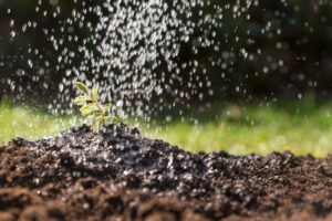 irrigation