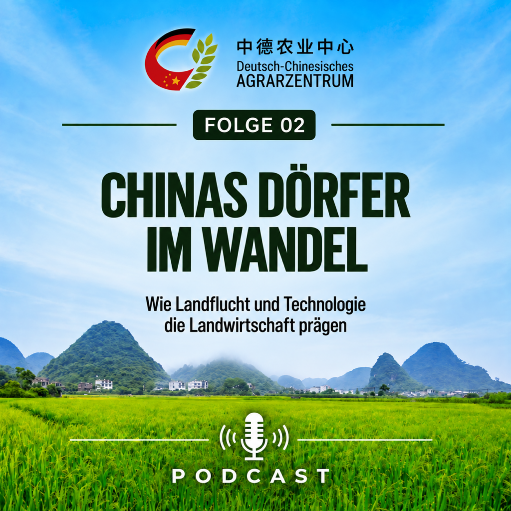 Cover_Folge 2